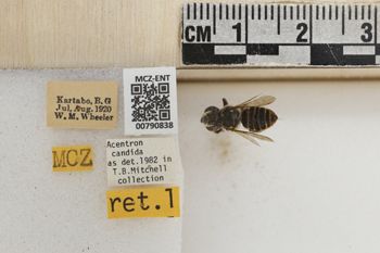 Media type: image;   Entomology 790838 Aspect: Labels